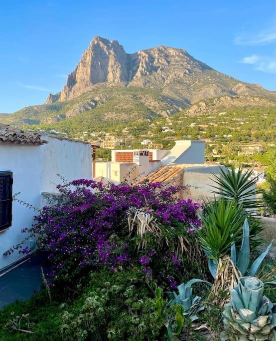 Casa De Suenos - Village House فينيسترات المظهر الخارجي الصورة